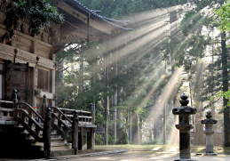 Japan 8/9 Days