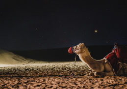 Dubai City Tour (4N/5D)