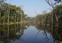 Kathmandu And Chitwan Tour - 6 Days
