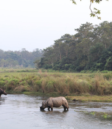 Kathmandu, Nagarkot, Chitwan, Lumbini & Pokhara Tour (10 Days)