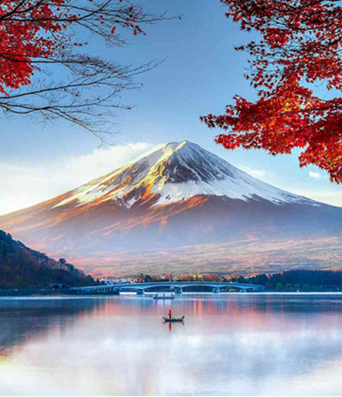 Japan 8/9 Days